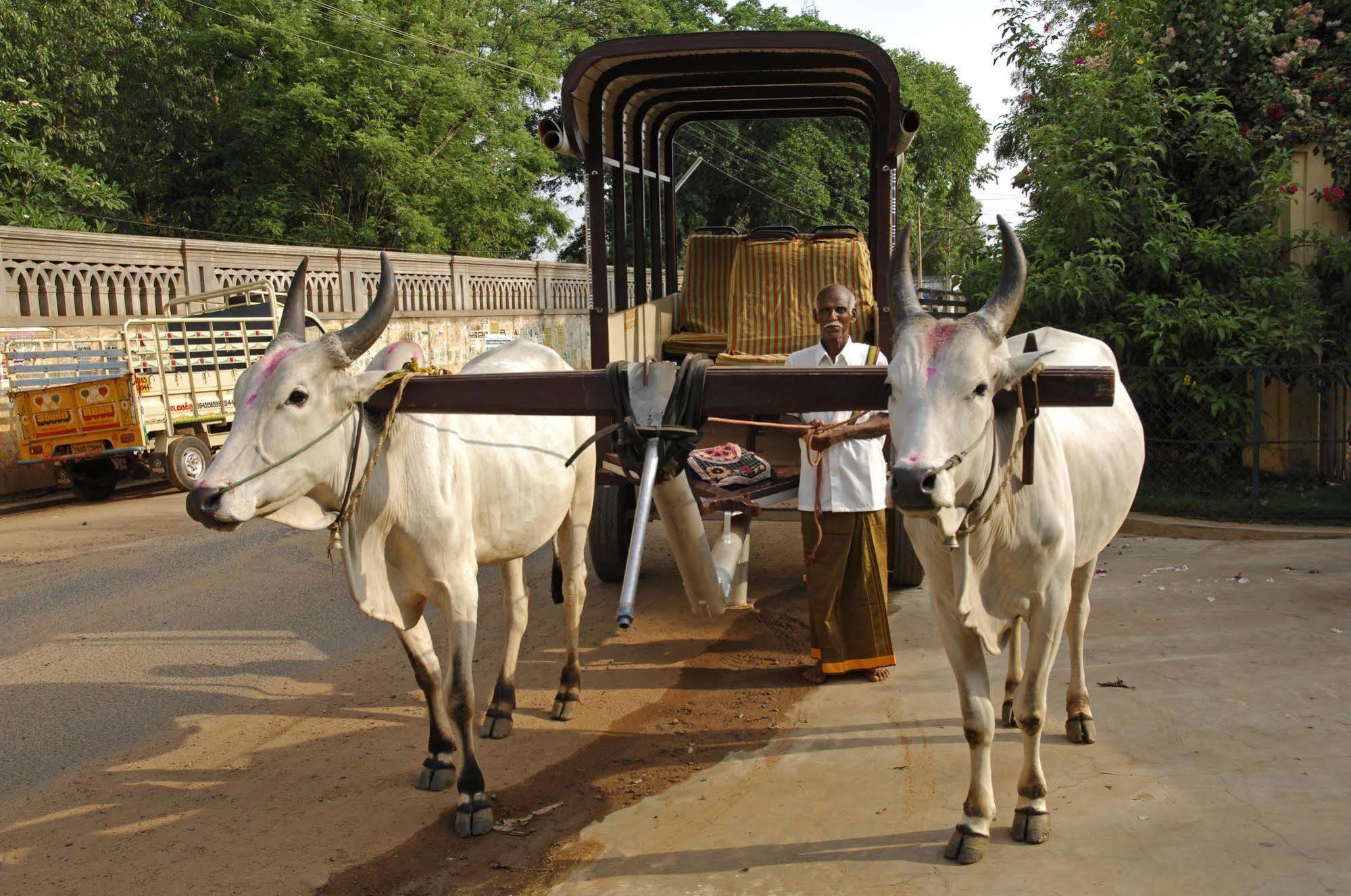 Visalam Chettinad Palace - A Cgh Earth Experience Kanadukattan Luaran gambar